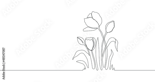 Tulips. One single line. Vector illustration. Doodle floral border