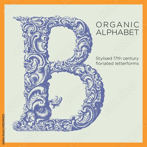 Vintage engraved alphabets, ideal for poster design, invitations, cards, packaging design, menus and labels. Stylised 17th century floriated alphabets by Polish goldsmith Jan Christian Bierpfaff. 