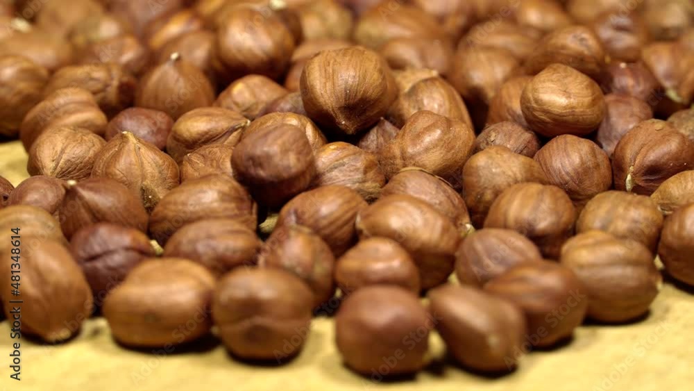 Hazelnuts rotation background. Close up Hazelnuts rotation background. Close up