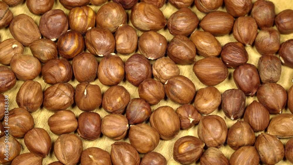 Hazelnuts rotation background. Close up Hazelnuts rotation background. Close up