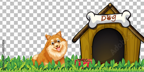 Pomeranian dog with dog house on transparent background
