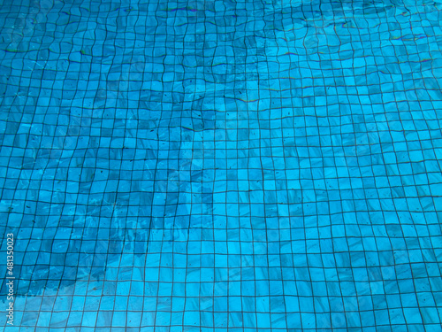 clear blue swimming pool and tree's shadow with white square tiles below it, in full-frame shot