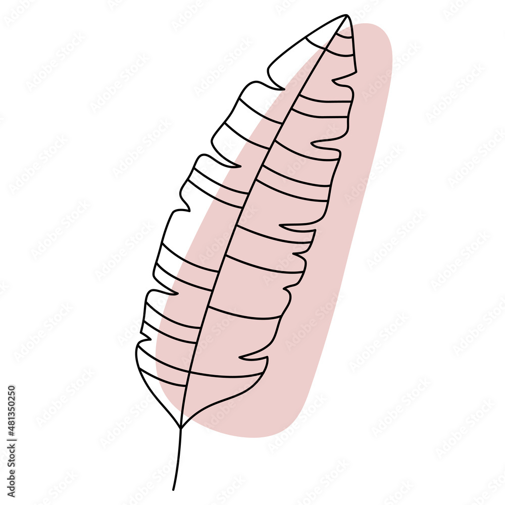 Banana leaf in line art style. Minimal tropical leaves, boho jungle leaf outline. Palm leaves hand drawn vector. Botanical design element and abstract shape Banana leaf in line art style. Minimal tropical leaves, boho jungle leaf outline. Palm leaves hand drawn vector. Botanical design element and abstract shape