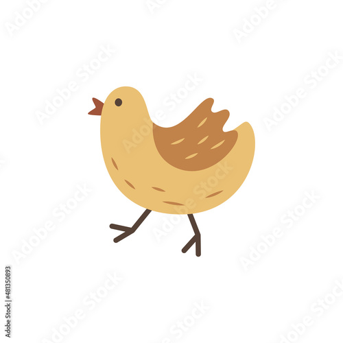 Cute little chicken. Cartoon farm animal. Breeding poultry on the ranch. Rural life item. Funny doodle bird. Livestock and farming element. Simple flat clipart for kids.