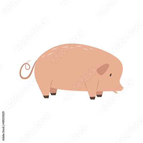 Cute cartoon pig. Traditional farm animal. Rural life item. Meat livestock. Boar on the ranch. Simple flat cattle icon. Illustration for children's books. Clipart for board game design.