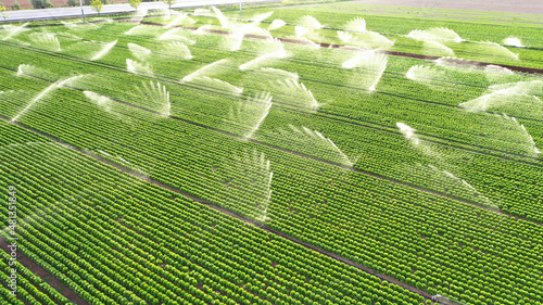 sprinkler irrigation systems wild watering