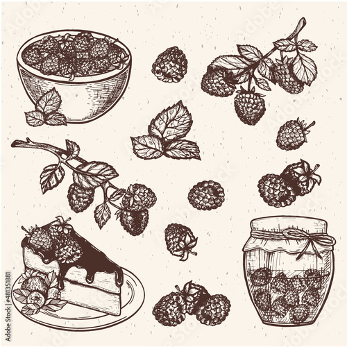 raspberries on beige background vector. raspberry collection vector sketch. set of raspberries hand drawn. jar of jam, raspberry pie, raspberry branch, blackberry jam, blackberry, jam. eps vector art