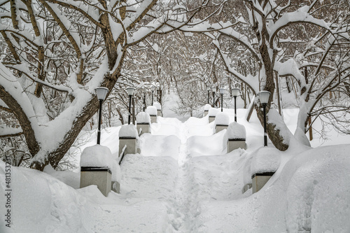 Path after snowfall