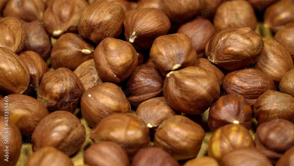 Hazelnuts rotation background. Close up Hazelnuts rotation background. Close up