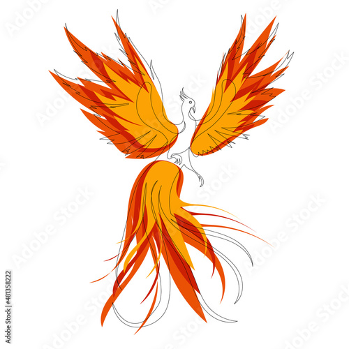 phoenix continuous line drawing, sketch,vector
