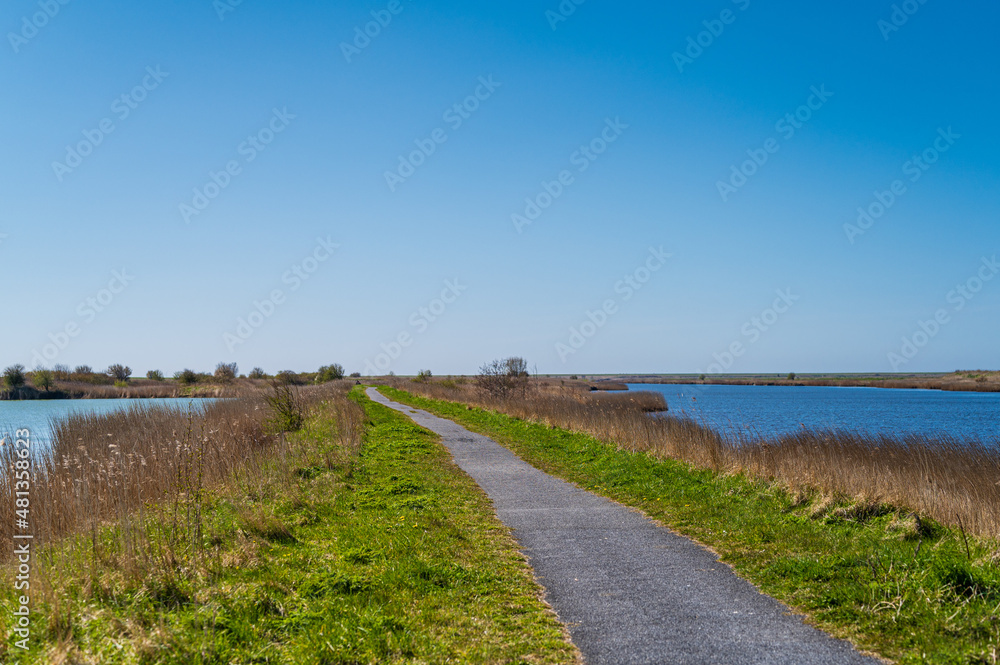 Naturschutzgebiet bei Greetsiel