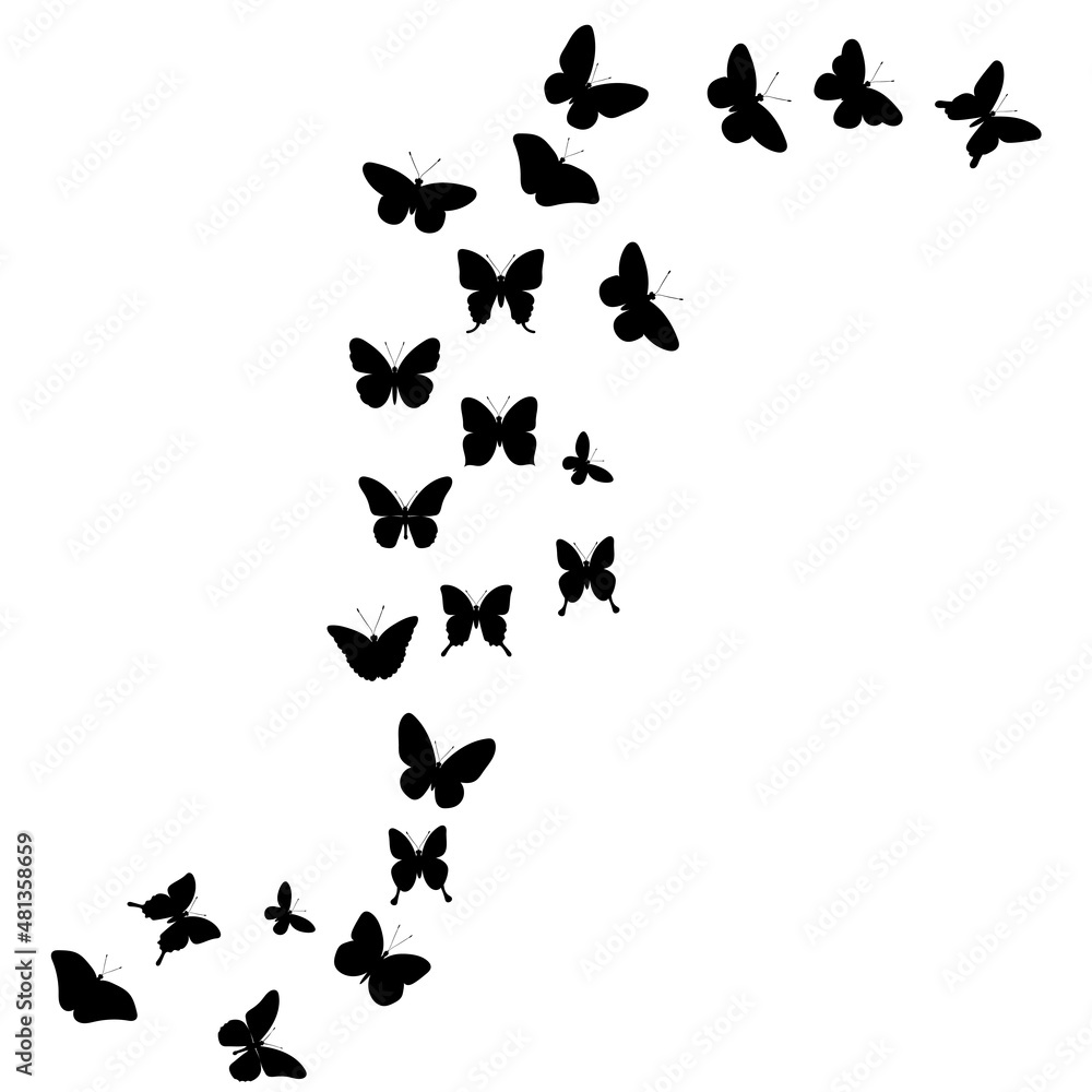 flying butterflies, silhouette, white background, vector