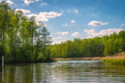 Fototapeta Dzikie rozlewiska