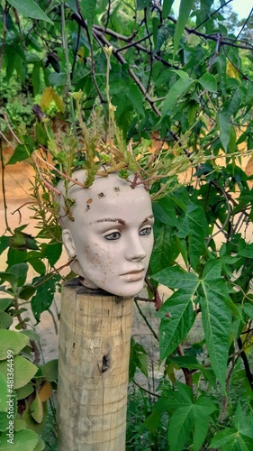 weird head with plants piece of art