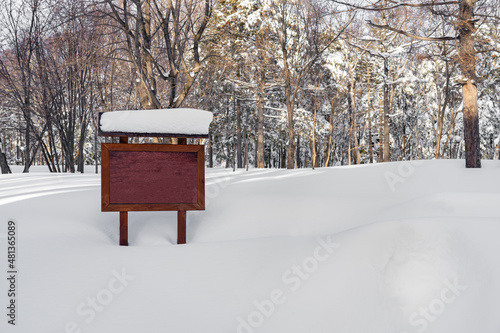 Winter billboard screen mockup in forest.Marketing communication concept for promoting or selling an idea.