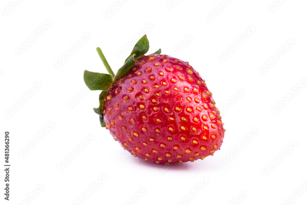 Ripe strawberry isolated on white background close up image. Ripe strawberry isolated on white background close up image.