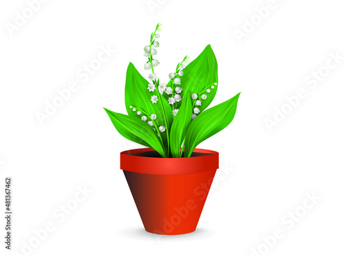 Lily of the valley flowers (may bells, Convallaria majalis) in a plastic pot. Realistic vector illustration isolated on white background for gift, interior design, flower shop advertising, other.