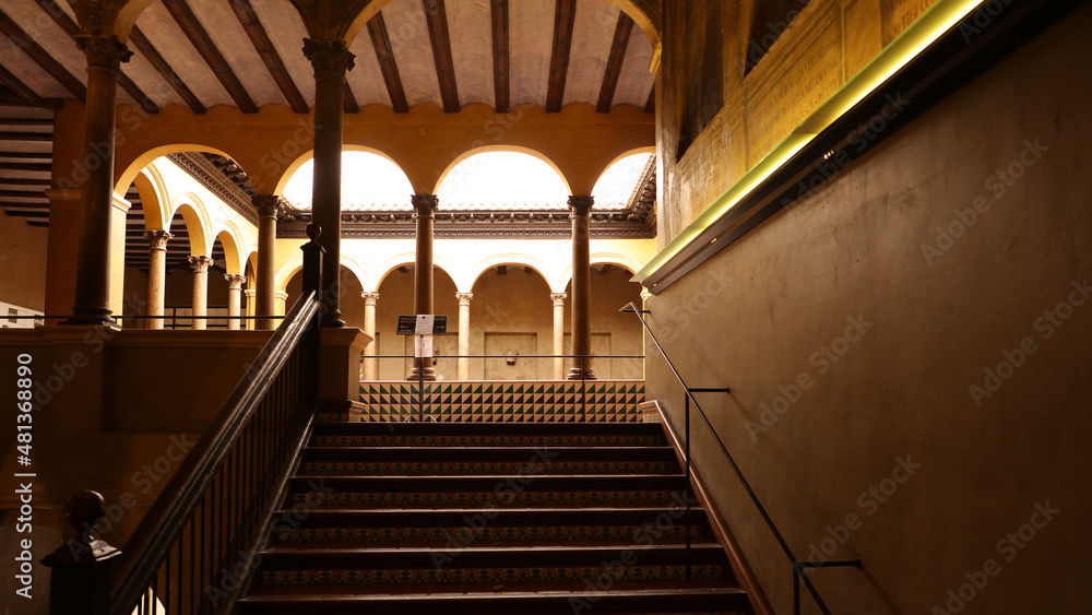 Obraz premium Palacio Marqués de San Adrián, Tudela, Navarra, España