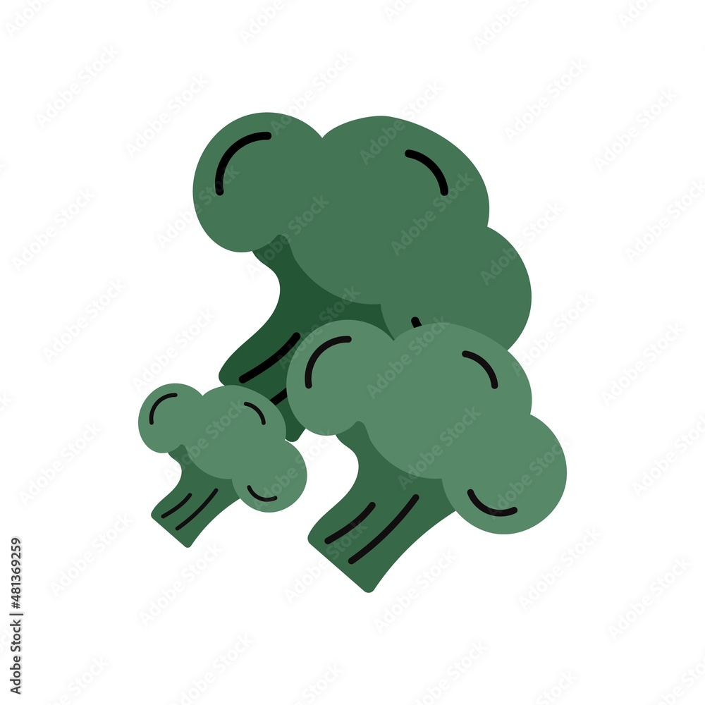 Icon of broccoli in trendy cartoon style Icon of broccoli in trendy cartoon style