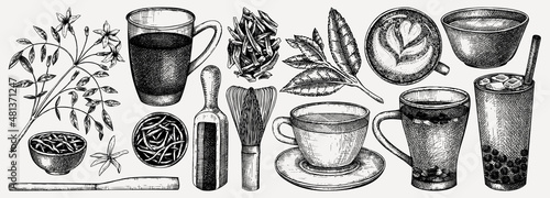 Obraz na plátně Hand-sketched tea drinks and ingredients collection
