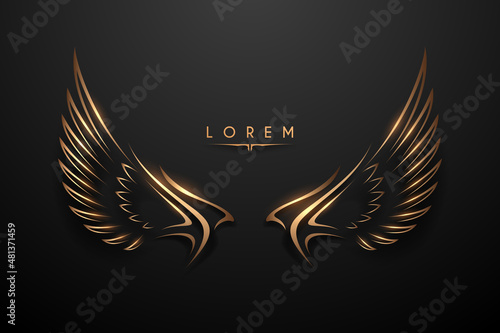 Abstract golden wings on black background photo