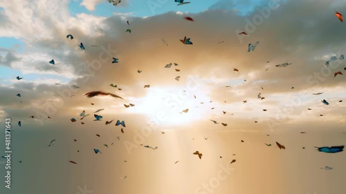 A kaleidoscope of multicolored butterflies flying in front of heavenly sunlight.