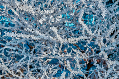 Winter im Allgäu