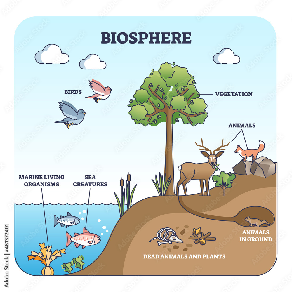 Biosphere and natural habitat division for living creatures