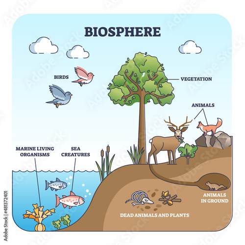 Biosphere and natural habitat division for living creatures outline diagram. Labeled educational environmental earth biodiversity with birds, animals, vegetation or marine wildlife vector illustration