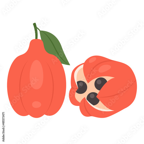 Ackee whole exotic tropical fruit isolated on white background. Ackee national fruit of Jamaica. Ankye, achee, akee, ackee apple or ayee vector illustration for package design. photo