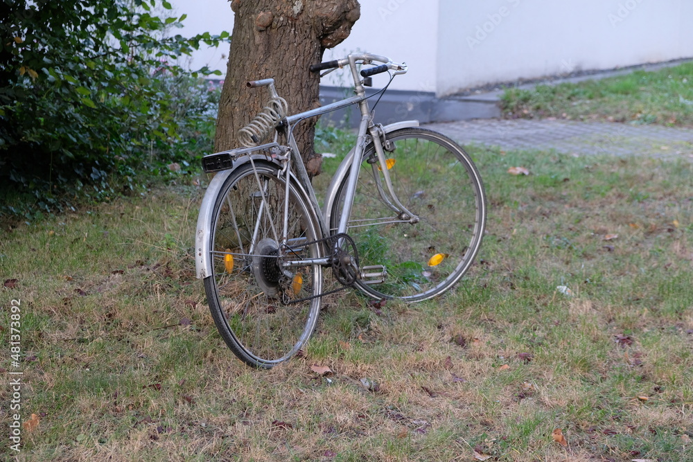 FU 2020-09-19 Schule 85 Am Baum ist ein Fahrrad angelehnt