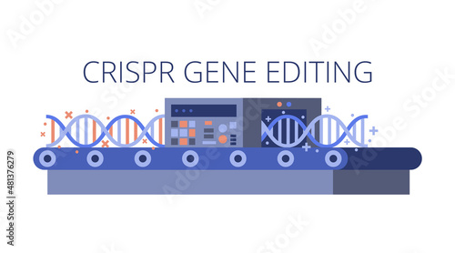 CRISPR gene editing concept vector illustration. Crisper genetic engineering technique for genome modifying, gene therapy, repair, fix. Flat DNA molecule on assembly line isolated on white background
