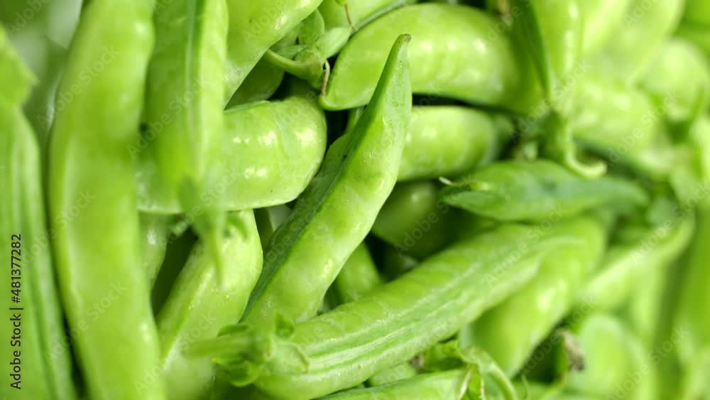 Fresh green peas pods rotation close up. Loop motion. Vertical orientation Fresh green peas pods rotation close up. Loop motion. Vertical orientation