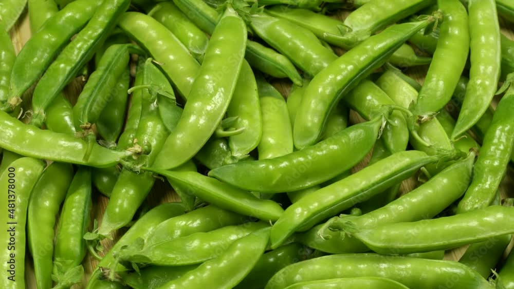 Fresh green peas pods rotation close up. Loop motion Fresh green peas pods rotation close up. Loop motion
