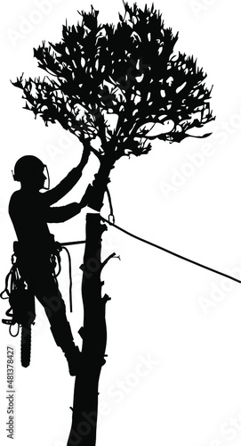 Tree Surgeon sawing a tree