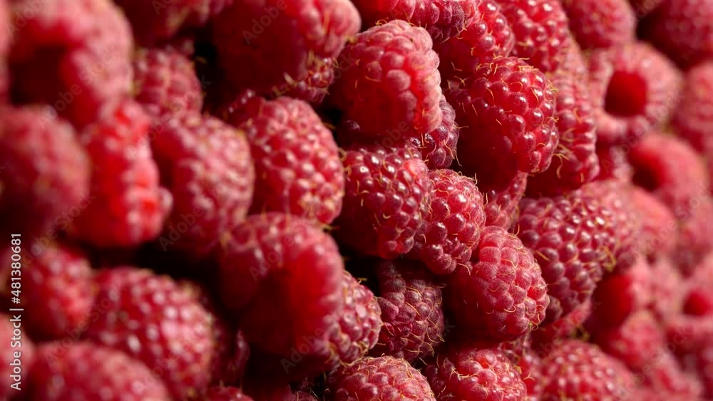 Fresh raspberries rotation background, close up. Loop motion. Vertical orientation Fresh raspberries rotation background, close up. Loop motion. Vertical orientation