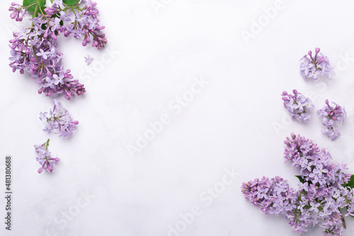 Flowers composition. Frame made of lilac flowers on stone background. Mothers day, womens day concept. Flat lay, top view
