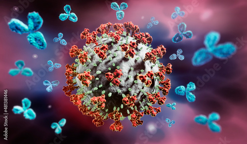 Corona Virus with Antibodies - Immune system photo