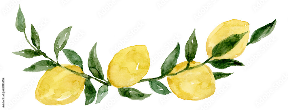 Lemon on branch and leaves watercolor hand painting isolated on white background