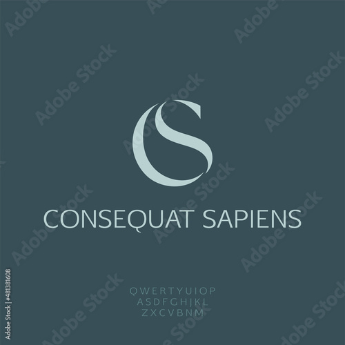 C & S monogram, luxury brand CS letters, vector illustration