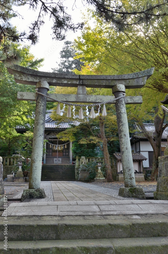 Obraz premium 伊豆稲取で有名な神社といえば八幡神社です。境内二つ目の石でできた鳥居は貞享四年(1687年)建立です。