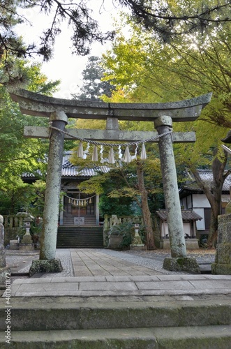 伊豆稲取で有名な神社といえば八幡神社です。境内二つ目の石でできた鳥居は貞享四年（１６８７年）建立です。