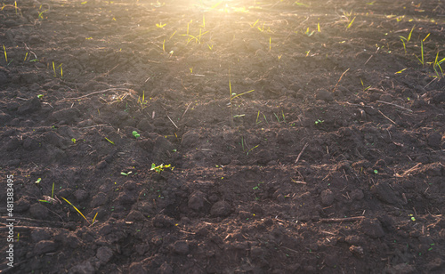 Fertile soil for cultivation in rural fields in the rays of the sun.