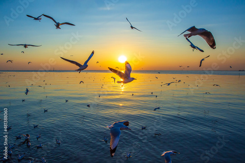 Sunset or evening time with blue sky at sea or ocean with seagull bird flying at Bang poo, Samutprakan, Thailand. photo