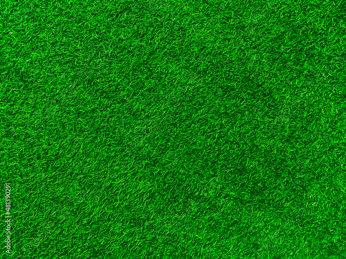 Green grass texture background grass garden concept used for making green background football pitch, Grass Golf, green lawn pattern textured background..