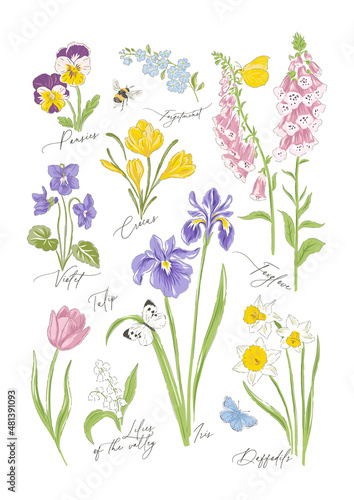 Canvas Variety spring flowers botanical hand drawn vector illustration set isolated on white