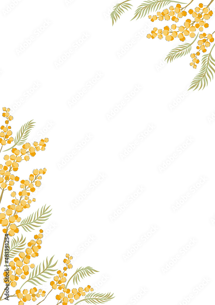 Mimosa yellow flower hand drawn corner frame vector illustration isolated on white. Vintage Romantic floral arrangement for wedding invitation, Birthday, Woman Day, Happy Easter card design. Mimosa yellow flower hand drawn corner frame vector illustration isolated on white. Vintage Romantic floral arrangement for wedding invitation, Birthday, Woman Day, Happy Easter card design.