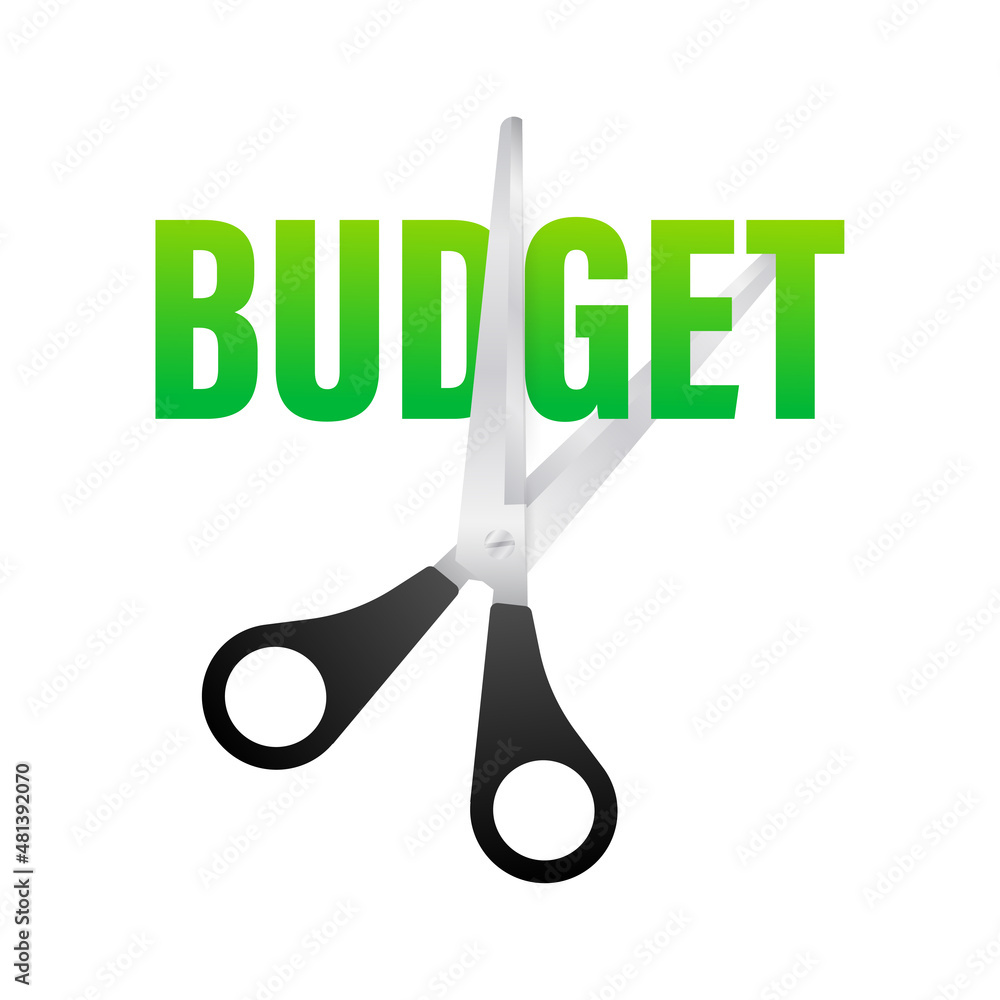 Budget cut in flat style on black background. Vector illustration