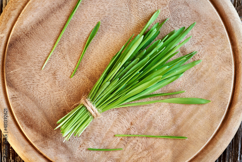 Fresh green barley grass on a wooden cutting board photo