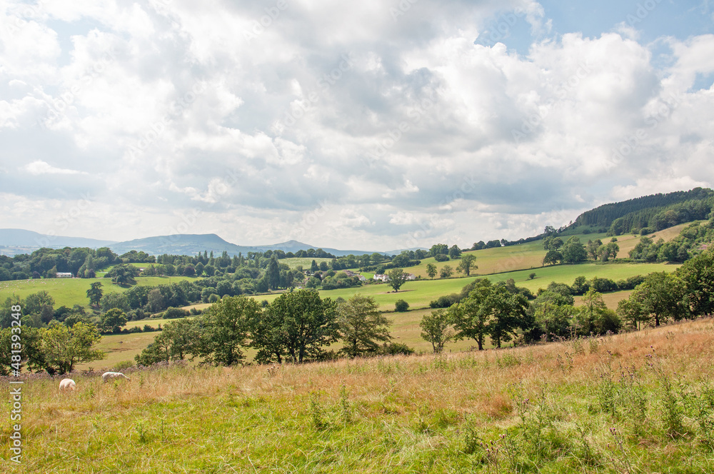 Summertime scenery in the Welsh hills. Summertime scenery in the Welsh hills.